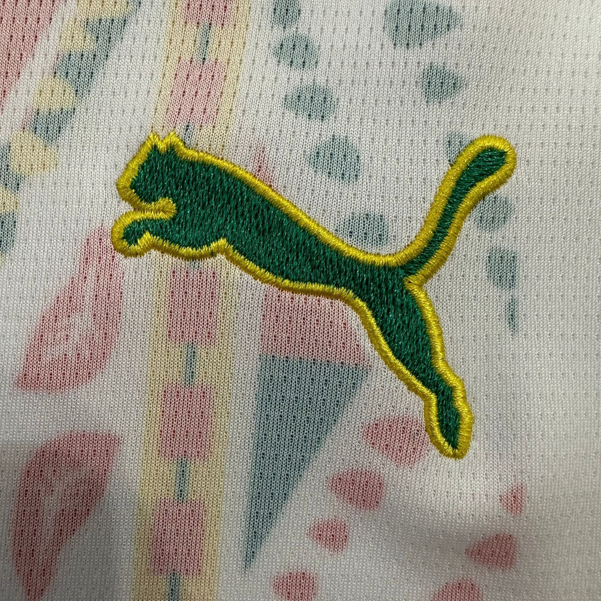 2026 Senegal Home Kit