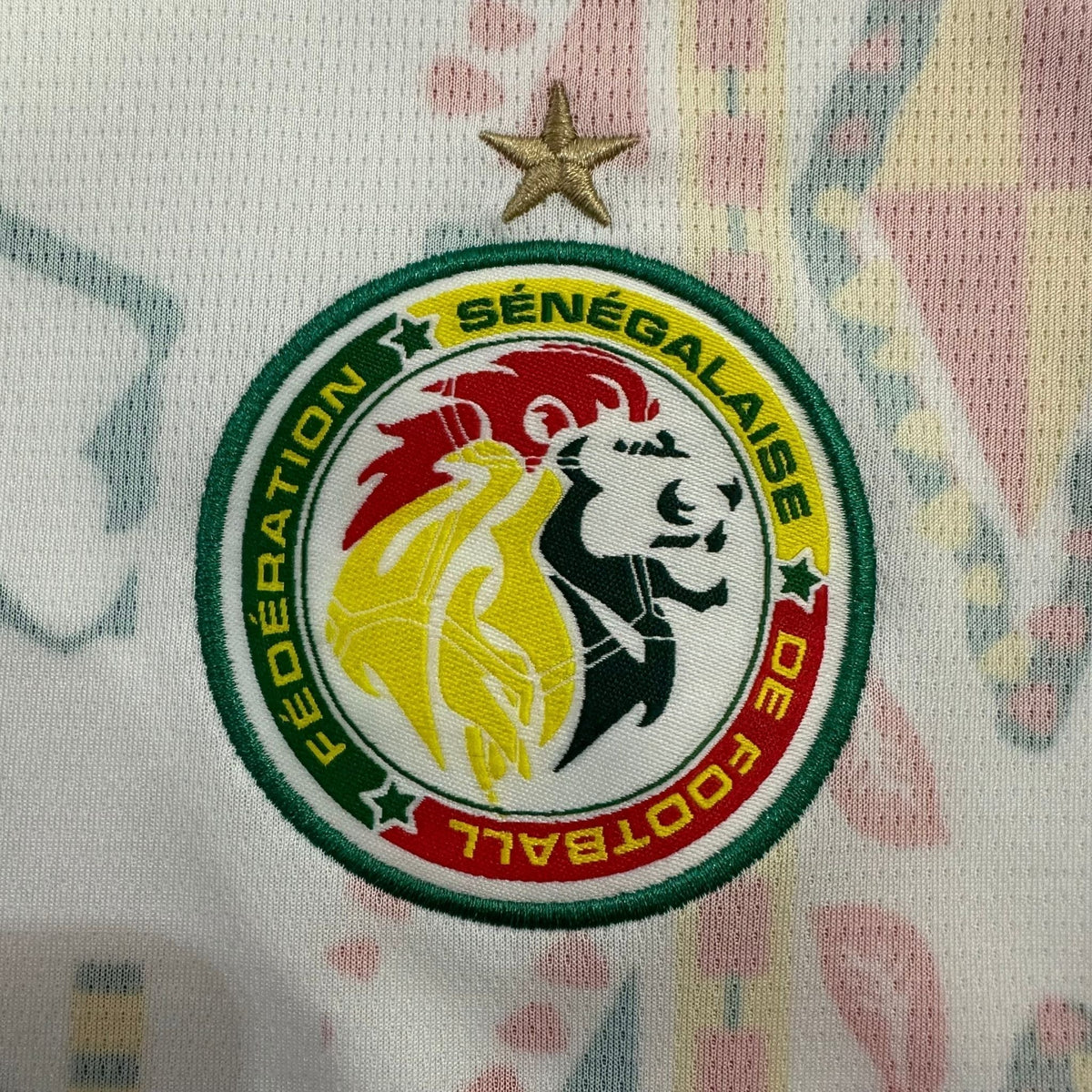 2026 Senegal Home Kit