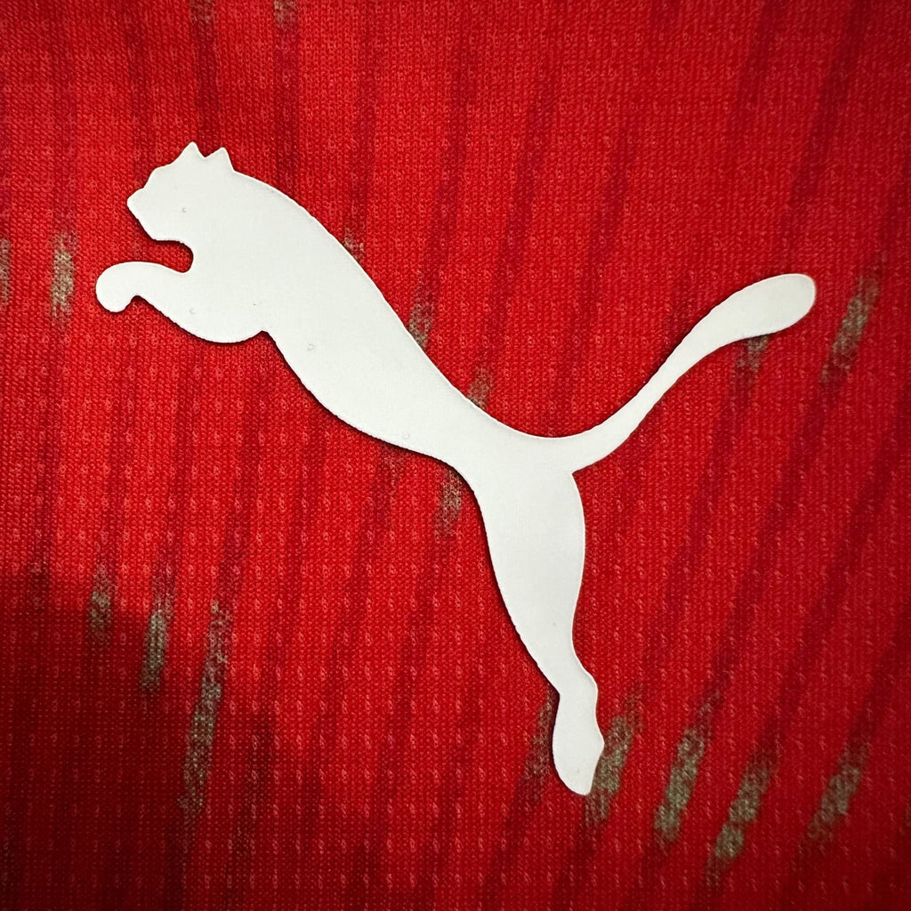 2026 Switzerland Home Kit