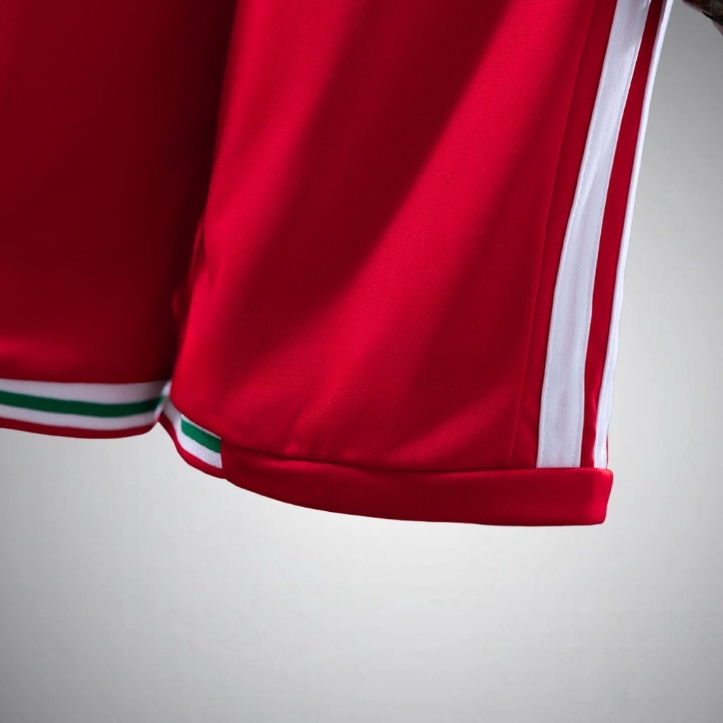 2026 Wales Home Kids Size Kit