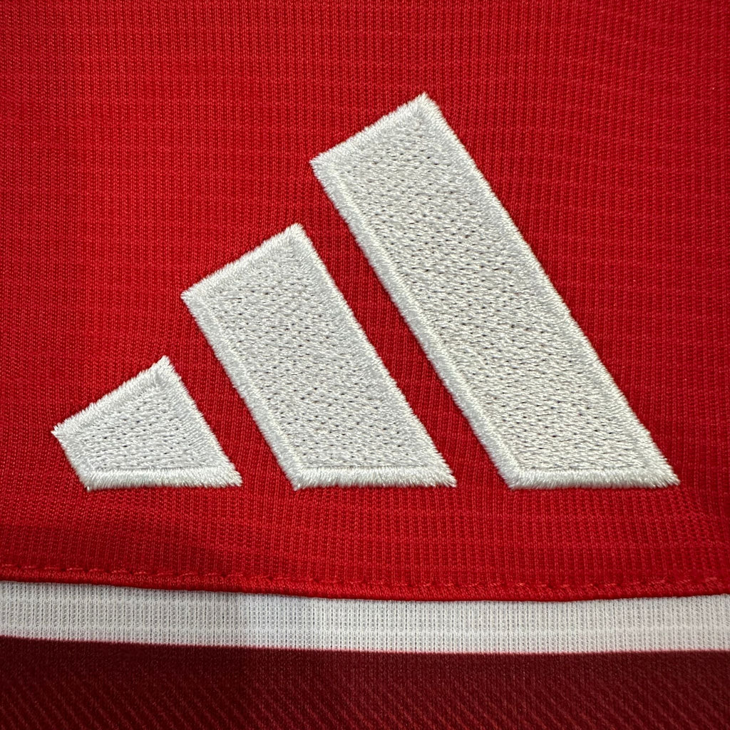 2026 Wales Home Kit