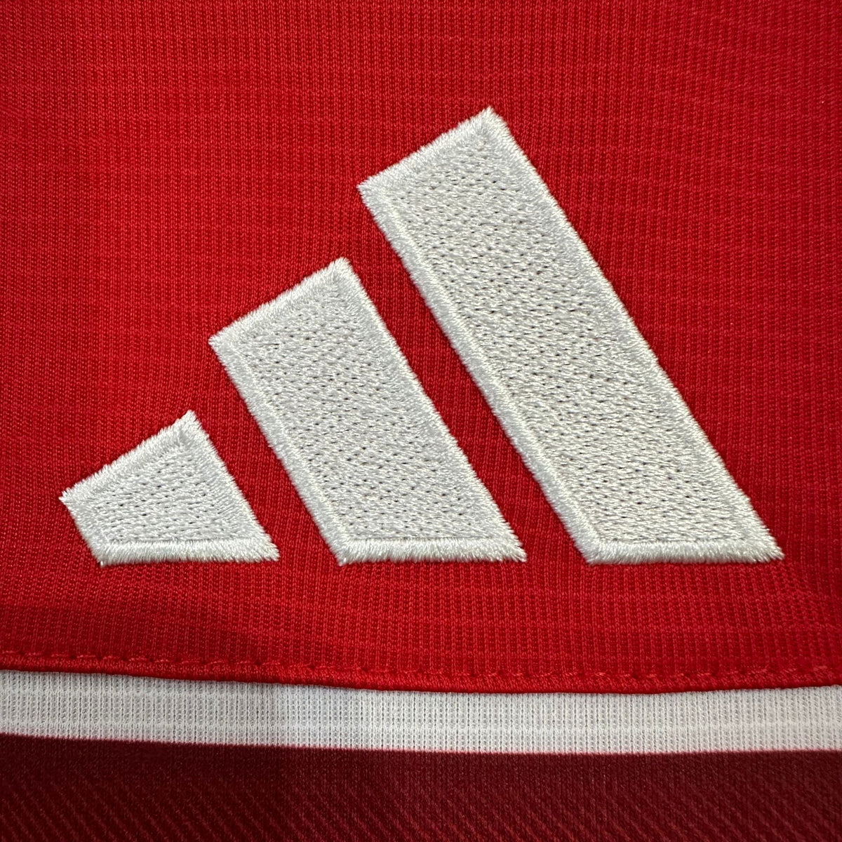 2026 Wales Home Kit