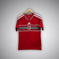 2026 Wales Home Kit