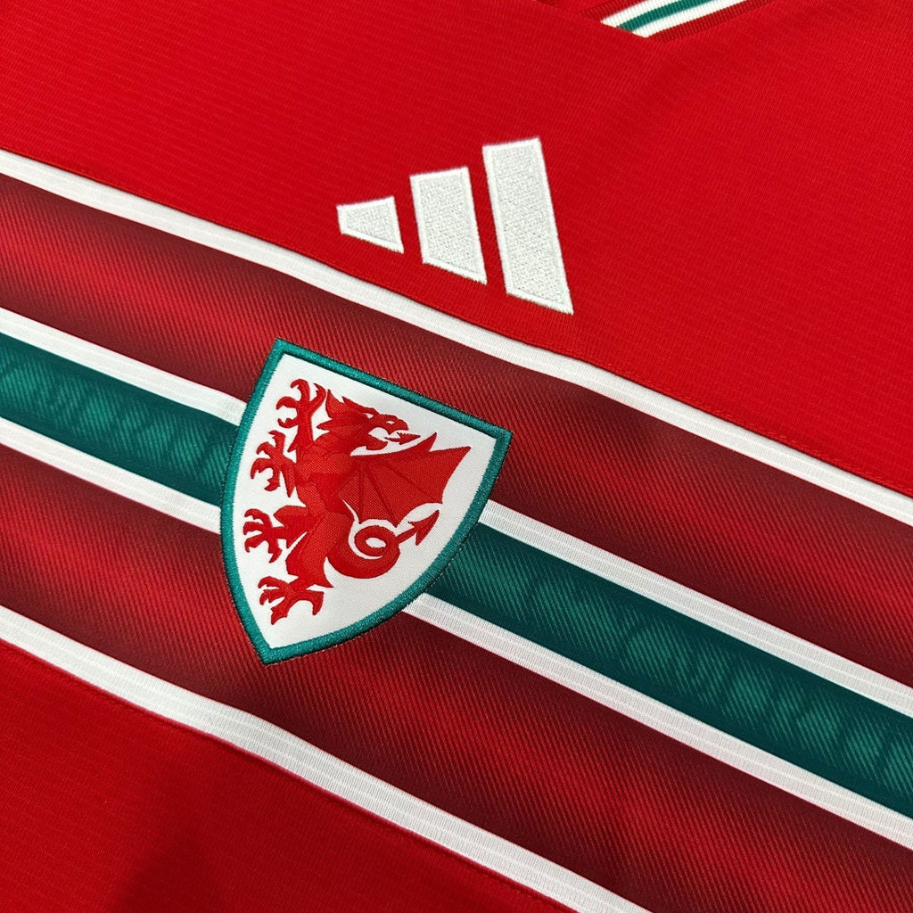 2026 Wales Home Kit